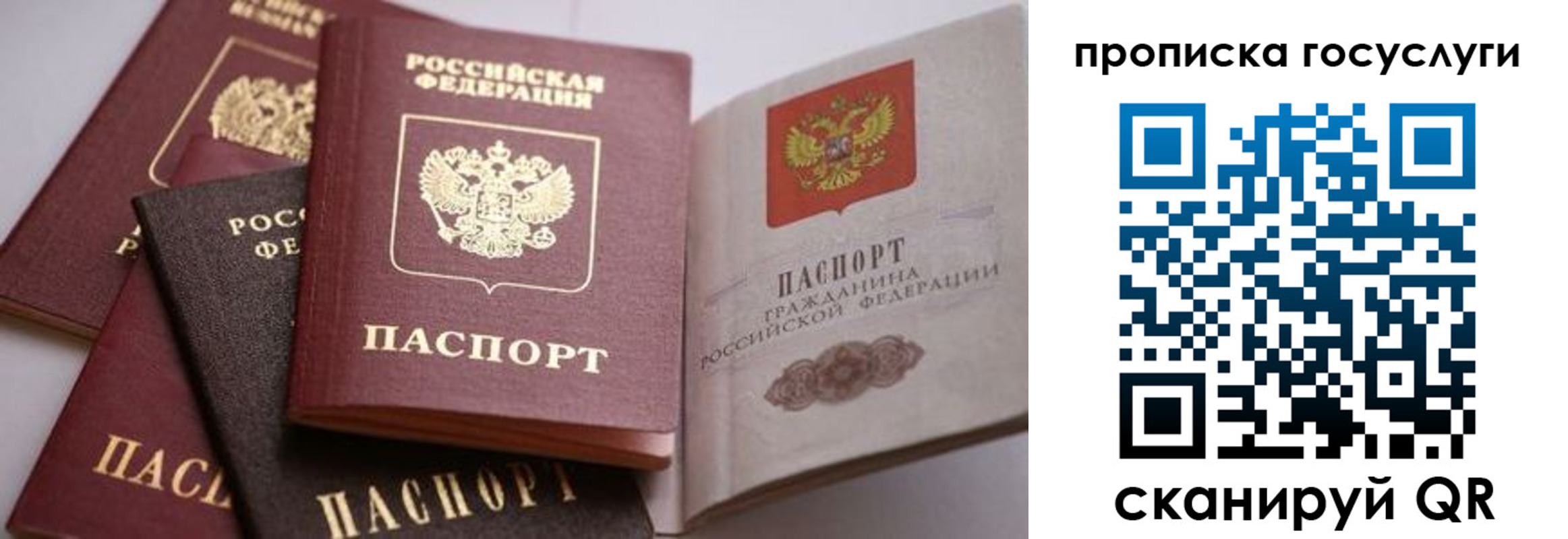 прописка иностранных граждан в Гвардейске