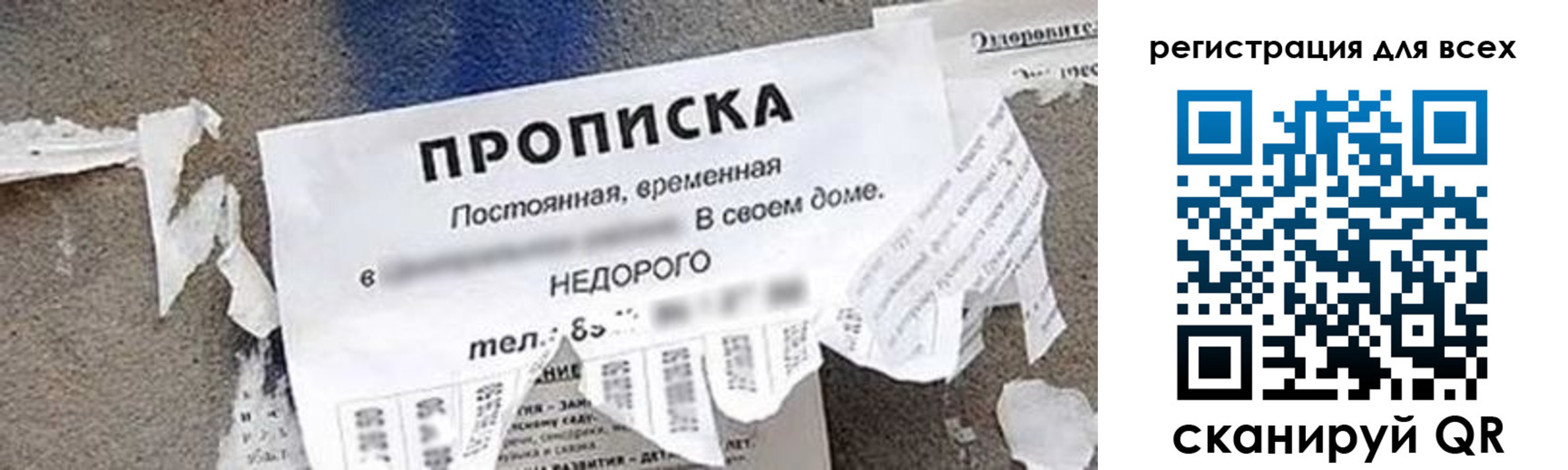 прописка поиск в Гвардейске